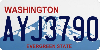 WA license plate AYJ3790