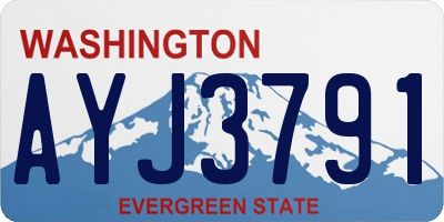 WA license plate AYJ3791