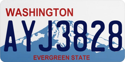 WA license plate AYJ3828