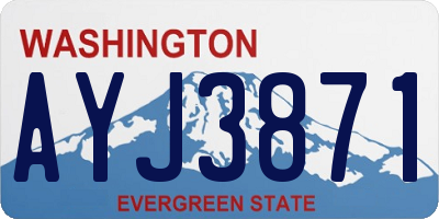 WA license plate AYJ3871