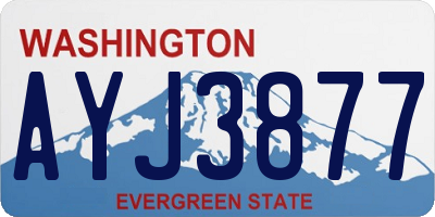 WA license plate AYJ3877