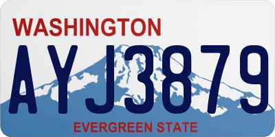 WA license plate AYJ3879