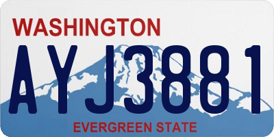 WA license plate AYJ3881