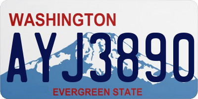 WA license plate AYJ3890