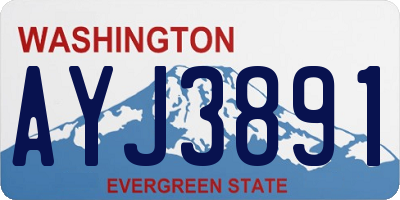 WA license plate AYJ3891