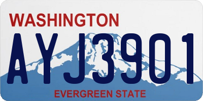 WA license plate AYJ3901