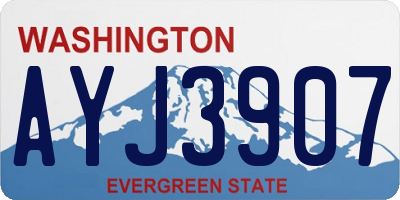 WA license plate AYJ3907