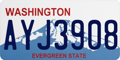 WA license plate AYJ3908