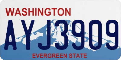 WA license plate AYJ3909