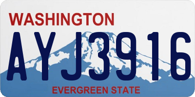 WA license plate AYJ3916