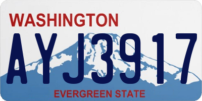 WA license plate AYJ3917