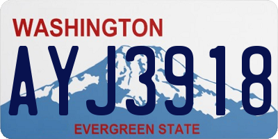 WA license plate AYJ3918