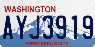 WA license plate AYJ3919