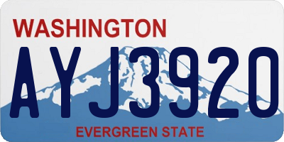 WA license plate AYJ3920