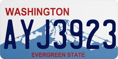 WA license plate AYJ3923