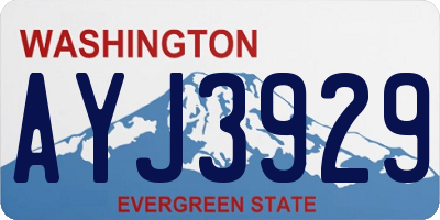 WA license plate AYJ3929