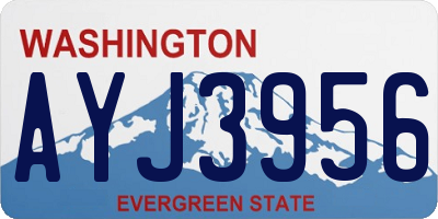 WA license plate AYJ3956