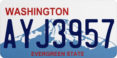 WA license plate AYJ3957