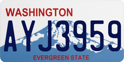 WA license plate AYJ3959