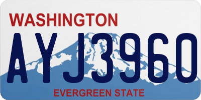 WA license plate AYJ3960