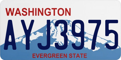 WA license plate AYJ3975