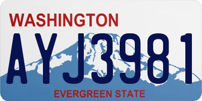 WA license plate AYJ3981