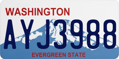 WA license plate AYJ3988