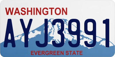 WA license plate AYJ3991