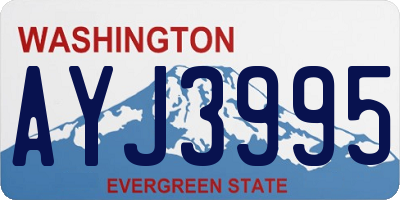 WA license plate AYJ3995