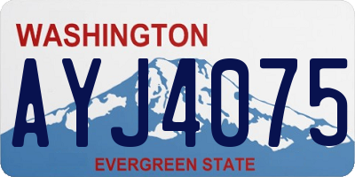 WA license plate AYJ4075