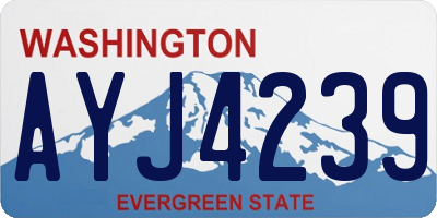 WA license plate AYJ4239