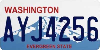 WA license plate AYJ4256