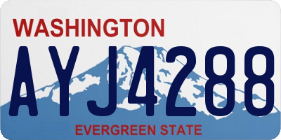 WA license plate AYJ4288