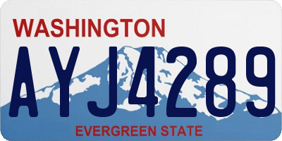 WA license plate AYJ4289