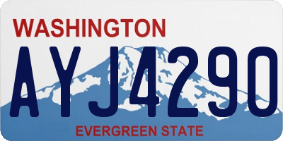 WA license plate AYJ4290