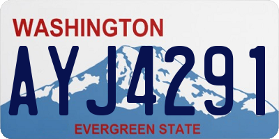 WA license plate AYJ4291