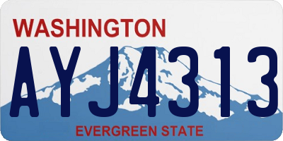 WA license plate AYJ4313