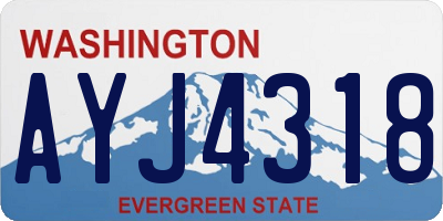 WA license plate AYJ4318