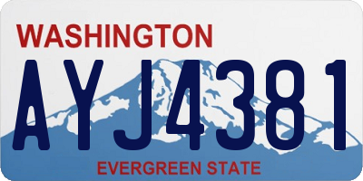 WA license plate AYJ4381