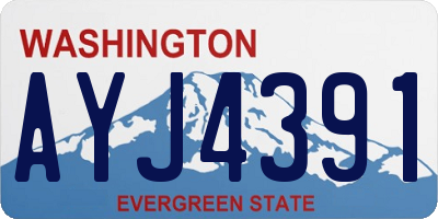 WA license plate AYJ4391