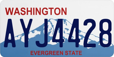 WA license plate AYJ4428