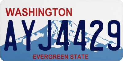 WA license plate AYJ4429