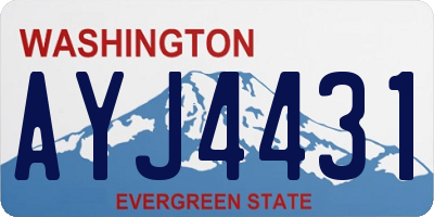WA license plate AYJ4431
