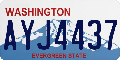 WA license plate AYJ4437