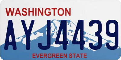 WA license plate AYJ4439