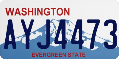 WA license plate AYJ4473