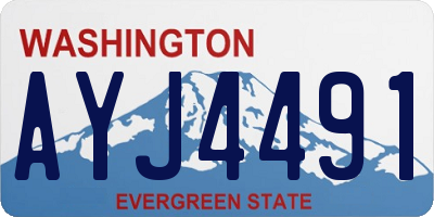 WA license plate AYJ4491