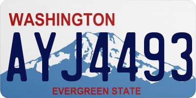 WA license plate AYJ4493