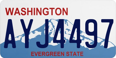 WA license plate AYJ4497