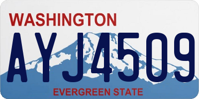 WA license plate AYJ4509